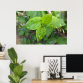 雨が降葉る ポスター (ホームオフィス)