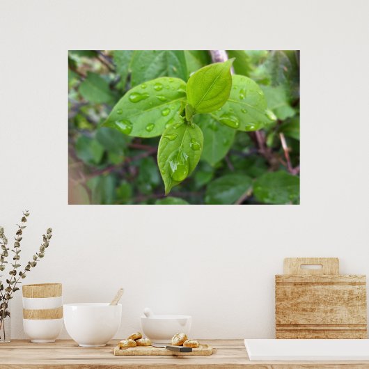 雨が降葉る ポスター (キッチン)