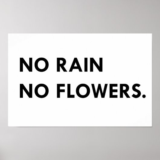 雨なし花なし ポスター (正面)