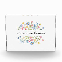 雨なし、花なし |