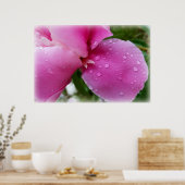 雨に濡れた一枚の花びら ポスター (キッチン)