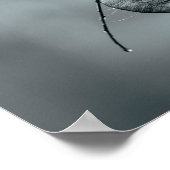 雨に濡れた枝のモノクロの種のさや ポスター (角)