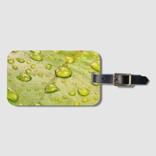 "雨に濡れた葉の荷物タグ ラゲッジタグ (正面横)