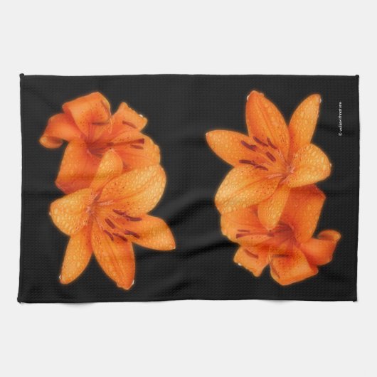 雨のキスを受けたオレンジ色のアジアのタイガーライリー キッチンタオル (横)
