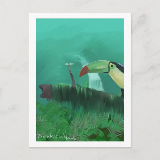 雨のジャングルのオウム ポストカード (正面)