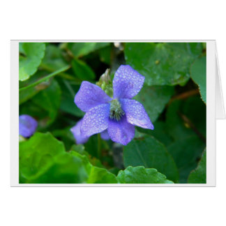 雨のバイオレット