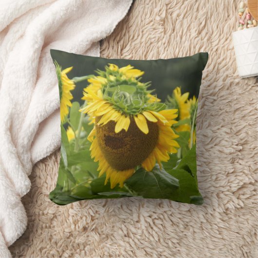 雨のヒマワリ クッション (ブランケット)