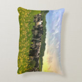 雨の下でスペックルパーク牛、サンセットスカイ アクセントクッション (裏面(縦))