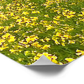 雨の下でスペックルパーク牛、サンセットスカイ ポスター (角)