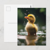 「雨の中で愛らしいアヒル ポストカード (正面/裏面)