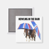 雨の中で磁石が鳴り響く マグネット (正面/裏面)