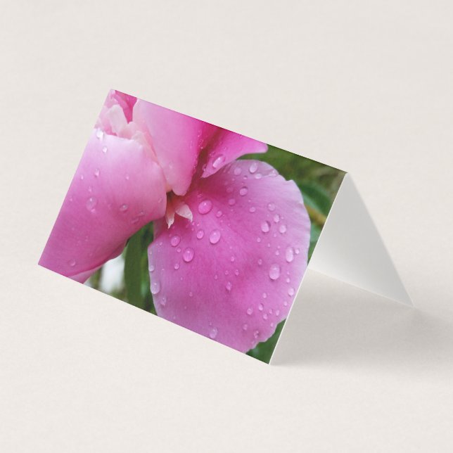 雨の中で花びらを散らす (正面)
