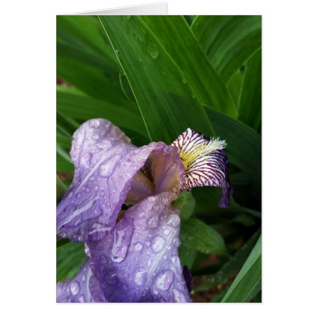 雨の中で (正面)