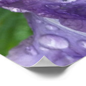 雨の中で ポスター (角)