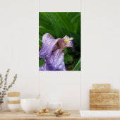 雨の中で ポスター (キッチン)