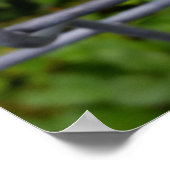 雨の中で ポスター (角)