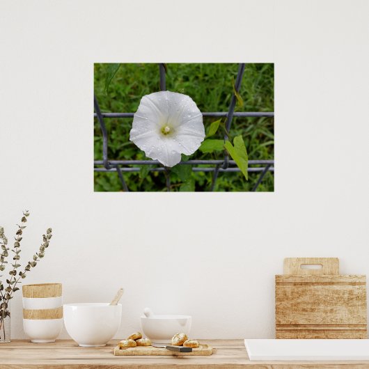 雨の中で ポスター (キッチン)