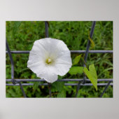 雨の中で ポスター (正面)