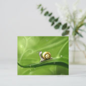 雨の中のかわいいウミウシ ポストカード (スタンド正面)