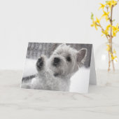 雨の中のウェスティー カード (黄色い花)