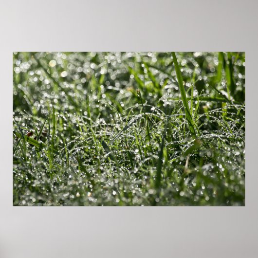 雨の中のウェットグラスのポスター ポスター (正面)