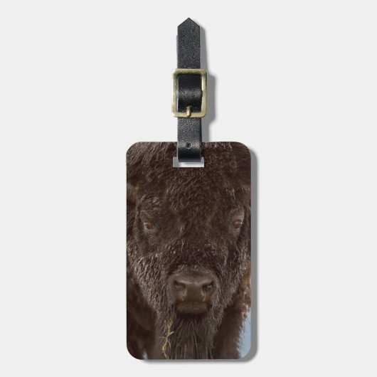 雨の中のバイソン・ブルのポートレート ラゲッジタグ (正面縦)