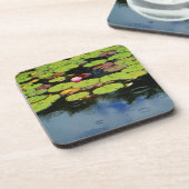 雨の中のピンクの蓮 コースター (左側)