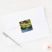 雨の中のピンクの蓮 スクエアシール (封筒)