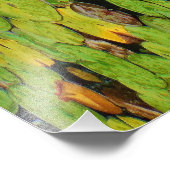 雨の中のピンクの蓮 フォトプリント            (角)