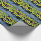 雨の中のピンクの蓮 ラッピングペーパー (角)