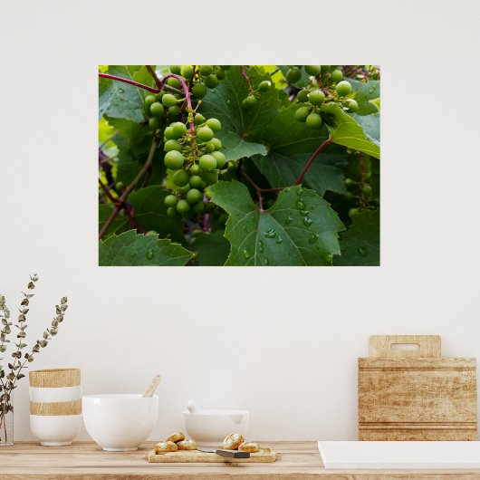 雨の中のブドウ ポスター (キッチン)