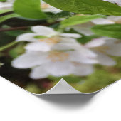 雨の中のリンゴの花！ ポスター (角)