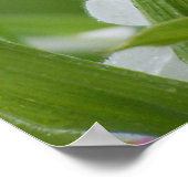 雨の中のレディースリッパ ポスター (角)