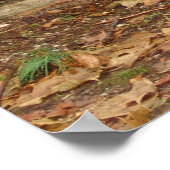 雨の中の仏 ポスター (角)