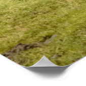 雨の中の牛 ポスター (角)