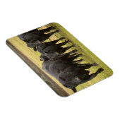 雨の中の牛 マグネット (右側)