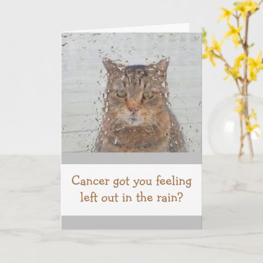 雨の中の猫 カード (黄色い花)