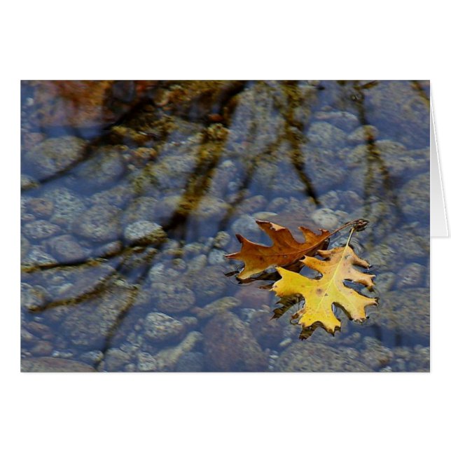 雨の中の紅葉 ノートカード (正面横)