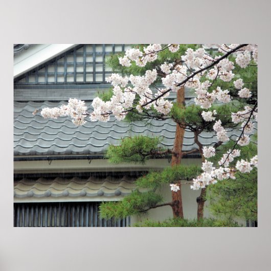 雨の中の花 ポスター (正面)