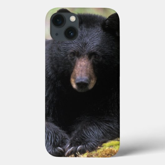 雨の中の Case-Mate iPhoneケース (裏面)