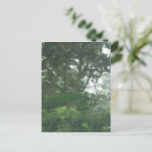 雨の中を覗く1 -抽象芸術写真 ポストカード (スタンド正面)