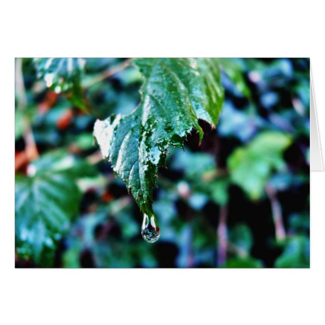 雨の低下 (正面横)