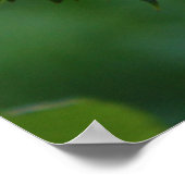 雨の低下 ポスター (角)