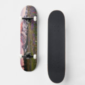 雨の国立公園のカラフルな花 スケートボード (正面)