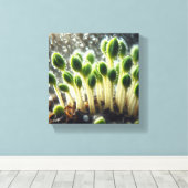 雨の増加 – キャンバスプリント (インサイチュ (ウッドフロア))