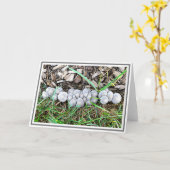 雨の夜の後の庭の小さな灰色のキノコ カード (黄色い花)