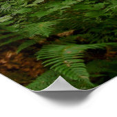 雨の後で ポスター (角)