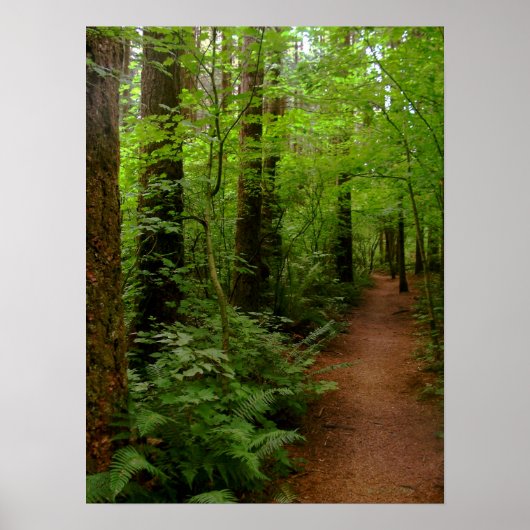 雨の後で ポスター (正面)