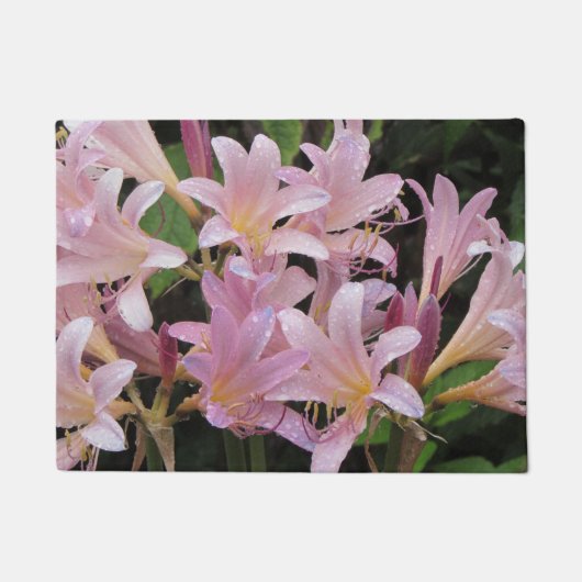 雨の後にユリを驚かせる ドアマット (正面)