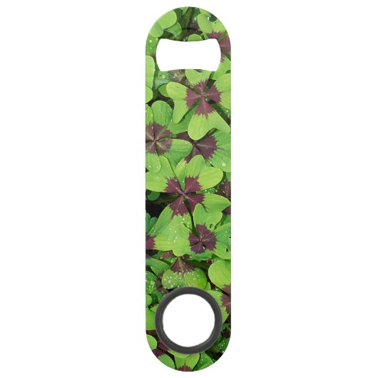 雨の後の四つ葉クローバーのパッチ スピード栓抜き (正面)